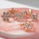 Children's ring "chosen" contours, shape of mix, color mix, dimensionless