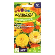 Calendula flowers 