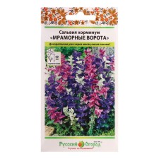 Flower seeds Salvia Horminum 