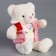 Soft toy "Little Friend", Bear in a pink jacket