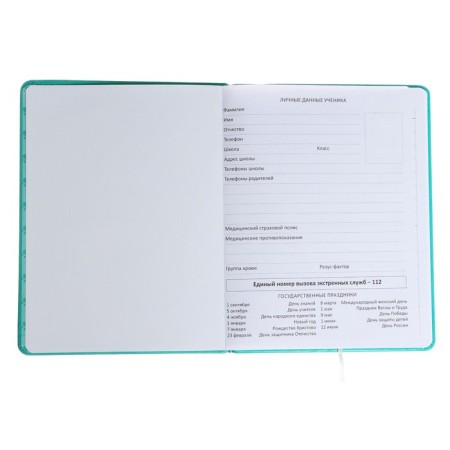 Universal diary for grade 1-11 "Mordashka.shiba", solid cover, artificial leather, foam rubber, liesa, 80 g/m2-3