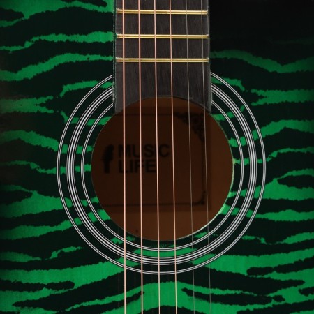 Acoustic guitar Music Life QD-H38Q-HW, Green-2