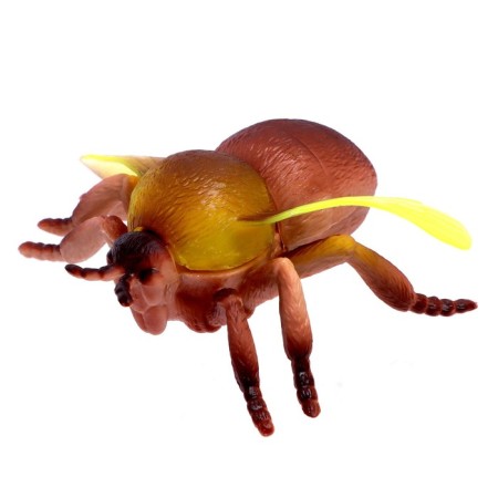 Animal set "Beetles and Spiders"-1