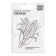 Sugar corn seeds "temptation", b/p, 5 g