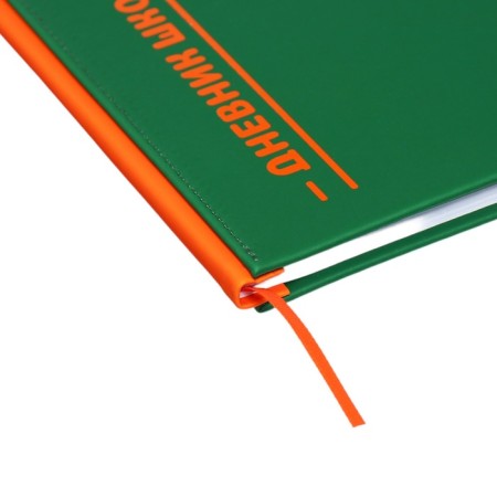 Universal diary for grades 1-11 Excellence, solid cover of artificial leather, silkography, lies, 48 ​​sheets, green-2