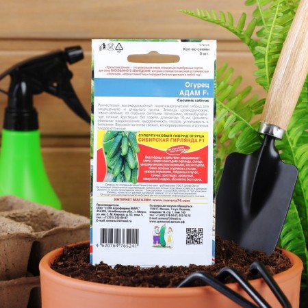 Seeds Cucumber Adam F1, 5 pcs.-3