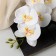 Artificial flowers "Orchid Phalaenopsis" premium, 7x55 cm, white