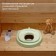 Seat toilet seat, baby, 37 × 32 cm, polyurethane foam, green