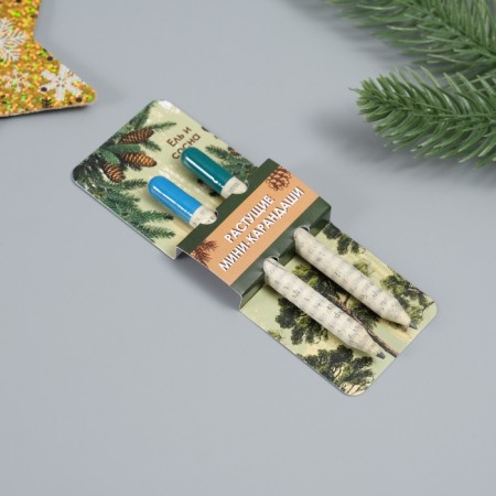 Growing gift pencils mini "blue spruce + pine" set 2 pcs.-1