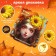 Carnival rim "Miracle of Autumn", with sunflower
