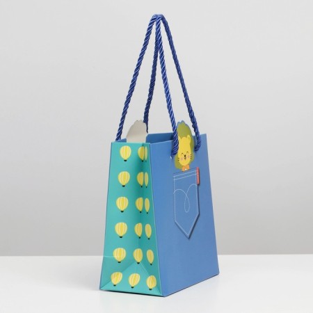 Gift package, packaging, “lion in a pocket”, 14 x 7 x 15 cm-1