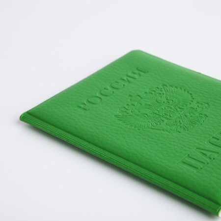 Cover for passport, light color-3