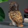 Figure "Owl - Aviator" 10x18x9cm