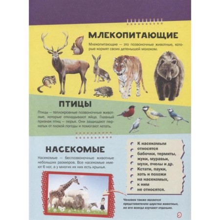 My first big book about animals-5