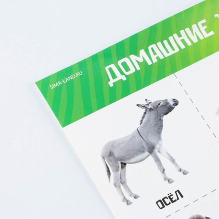 A set of training posters "Study the world", 10 in 1, A4-14