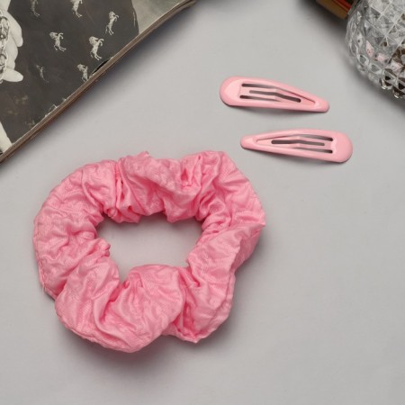 Hair set "Emilia" (elastic band, 2 invisibility 4.5 cm).-1