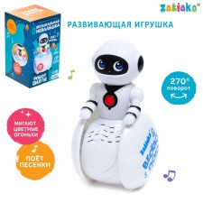 Developing toy 