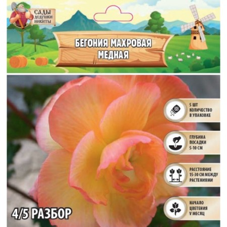 Belonia terry "copper" rr 4/5, 5 pcs, spring 2024
