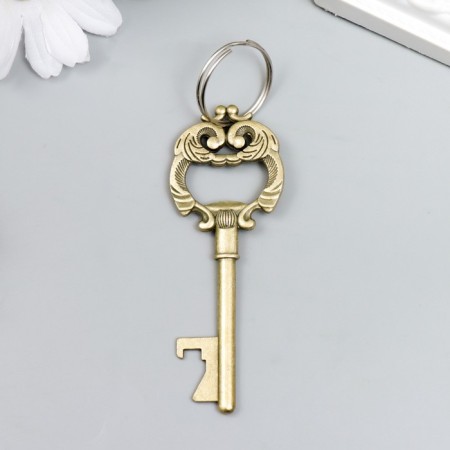 Metal keychain "Key with lush leaves" mix 8x3 cm