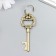 Metal keychain "Key with lush leaves" mix 8x3 cm