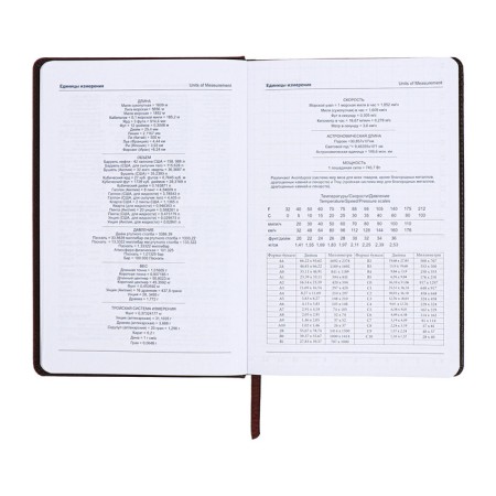Lotted diary, A5, 140l, Cage, region, style, dark gray-7