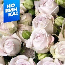 Rose Spray Silver Babble