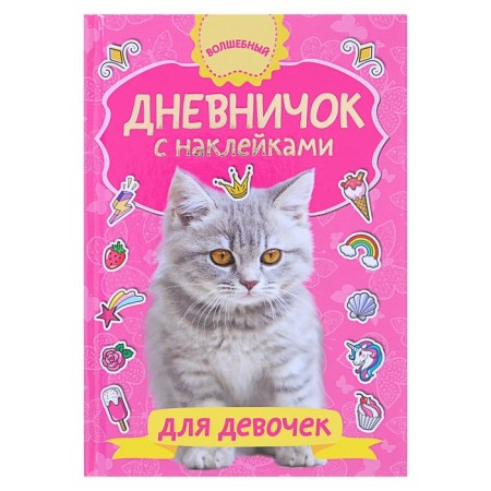A diary with stickers for a girl. Dmitrieva V.G.