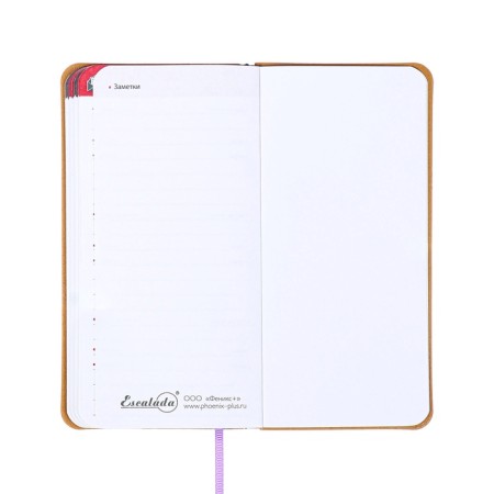 Book D/PBS LOG and Password A7+ 56 L Escalada, soft region, leather claim, TIS F, Las, BL 70g/m², sirens-17