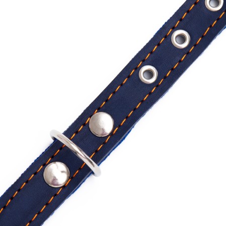 Collar combined leather/tarpaulin, dimensionless, 56 x 2.5 cm, Osh 25-51 cm, blue-6