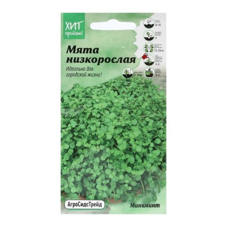 Mint seeds "for growing in a container", 3 pcs