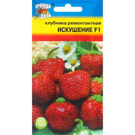 Strawberry seeds repair "Temptation", F1, 5 pcs.