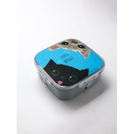 Lunch - boxing with sections and spoon "Cats", 17.8 x 17.8 x 7 cm-3