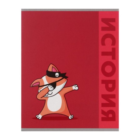 A set of object notebooks Calligrata TOP "Animals", 48 sheets, 12 items, with reference material, cover coated cardboard, matte lamination, selective UV-lame, offset block-15