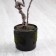 Artificial tree "acacia" in a pot, 86 cm