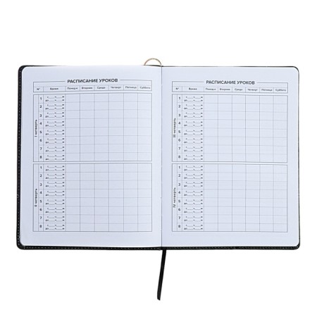 Universal Diary Grade 1-11, 48 sheets "Princess-ballerina", solid cover of artificial leather, lies, universal cheat sheet, block 80 g/m2-9