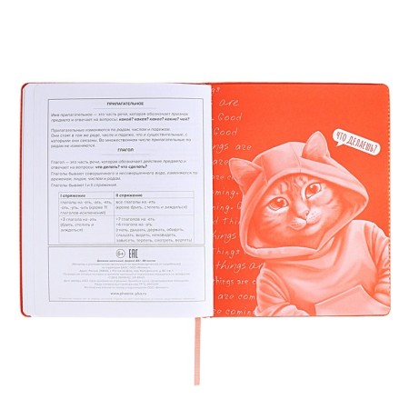 School diary for grades 1-11, "cat", firm covering with foam, artificial leather, lacing, liesse, universal cheat sheet, 48 sheets, block 80g/m2-12