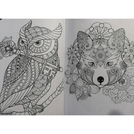 Foxes and owls-5
