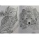 Foxes and owls