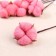 Sukhotzet "Cotton" D-5 cm, 30 cm, pink