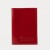 Glossy red