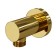 Shower hose connection Wasserkraft A188, brass, gold