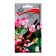 Flower seeds hyacinth beans are two -color, 1gr