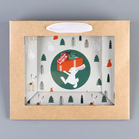 Craftsteet package with a plastic window "Rabbit", 24 x 20 x 11cm, New Year-7