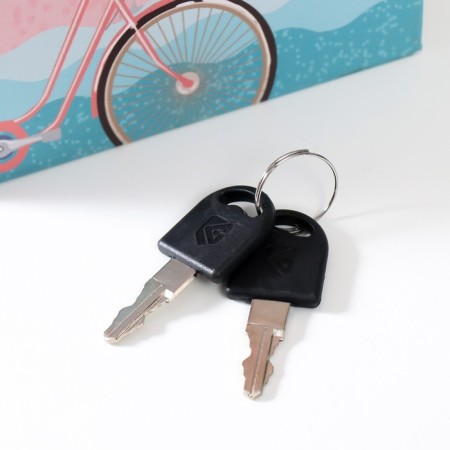 Safe Brush Todge to leatherette "Bicycle with balloons" 21x13x5 cm-4