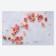 Photophone bilateral paper 300 grams "Roses and chamomile" 57x87 cm
