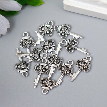 Decor for creativity Metal "Key Filin" silver 5400m008 2.1x1 cm-1