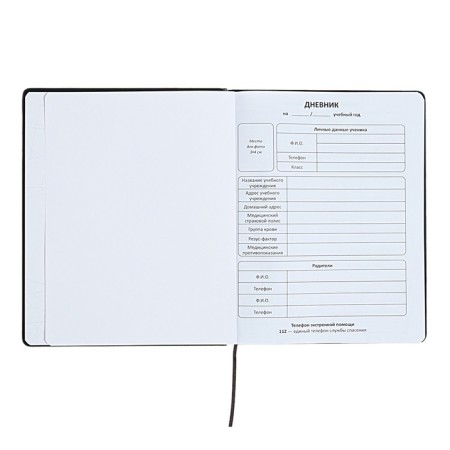 The universal diary for grades 1-11 is "anime", a solid cover made of artificial leather, application, lies, 48 ​​sheets, blue-3