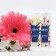 Universal top dressing for chopped flowers Chrysal, tube, 150 pcs 10 ml