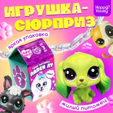 Surprise toy 