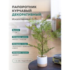 Curly fern in a cement pot, 125 × 125 × 710 mm, green / white / beige color